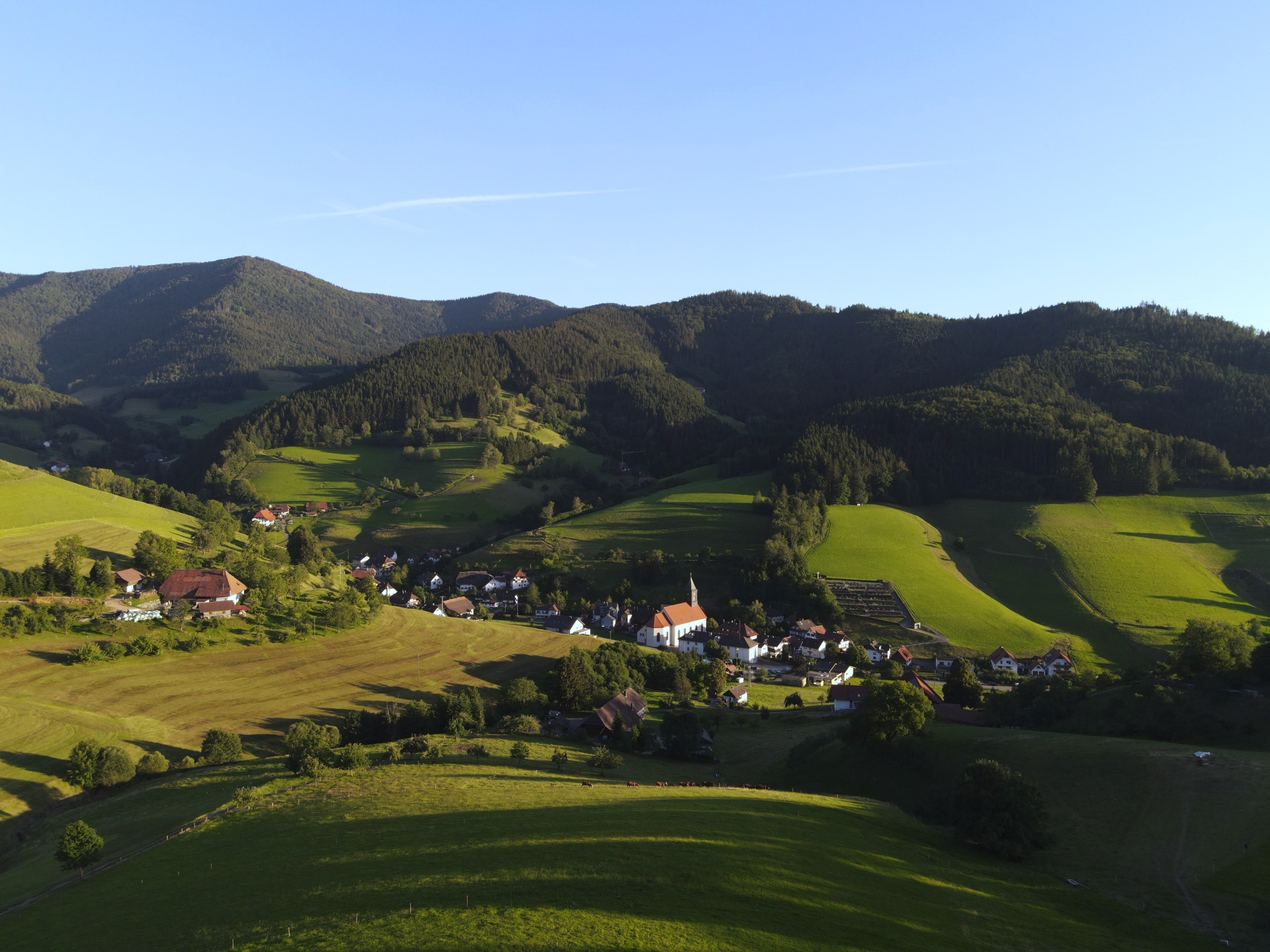 Black Forest – golden valley
