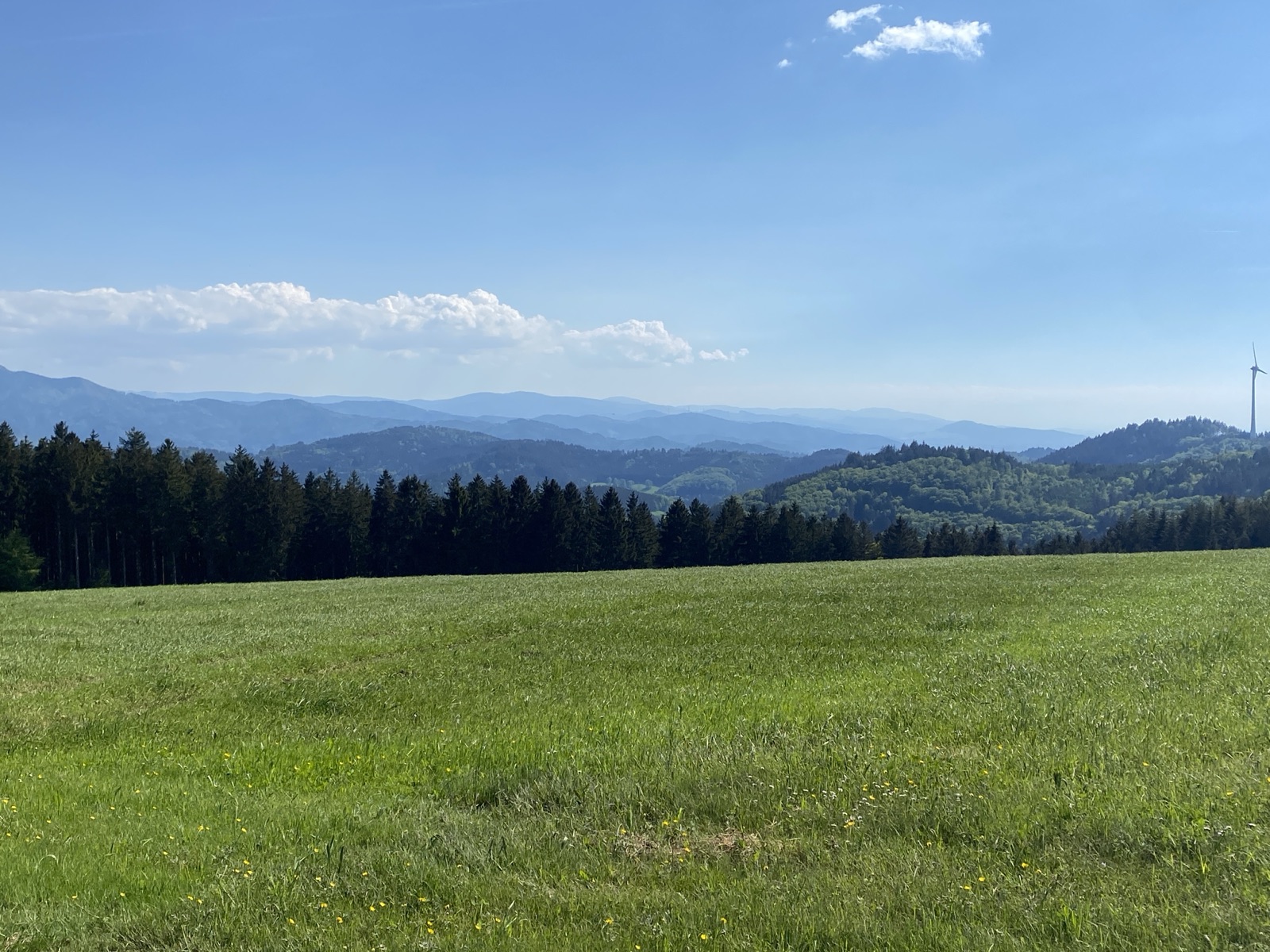Weite Wiesen und Schwarzwaldhöhen